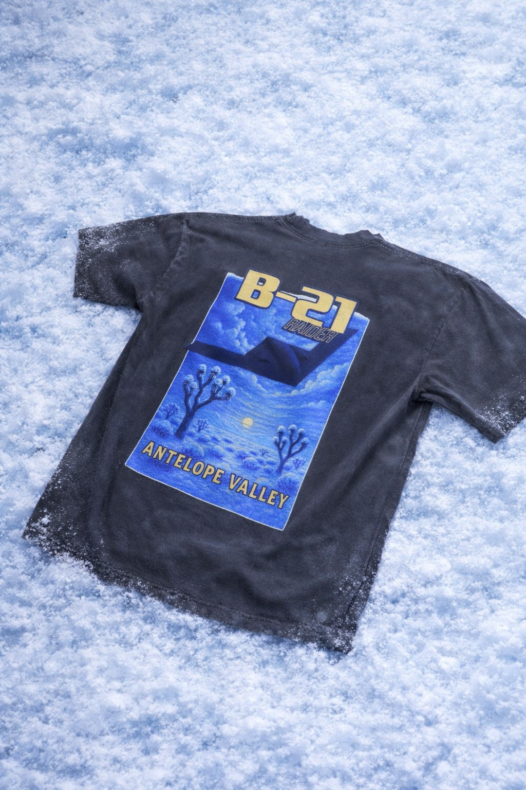 B-21 WINTER EDITION.❄️✨