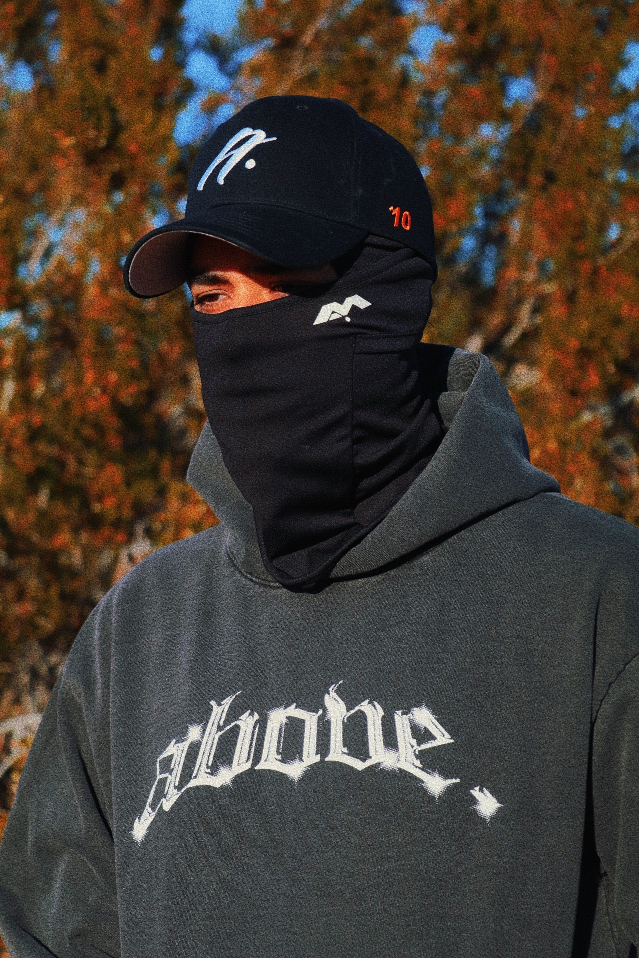 🚨1 LEFT- DLYDD VINTAGE HEAVYWEIGHT HOODIE