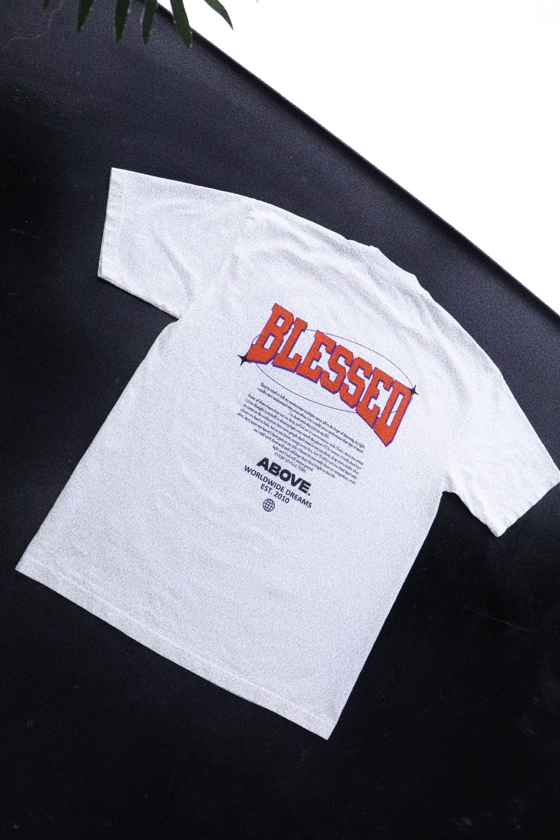 🚨1 LEFT- BLESSED. 🙏✨HEAVYWEIGHT