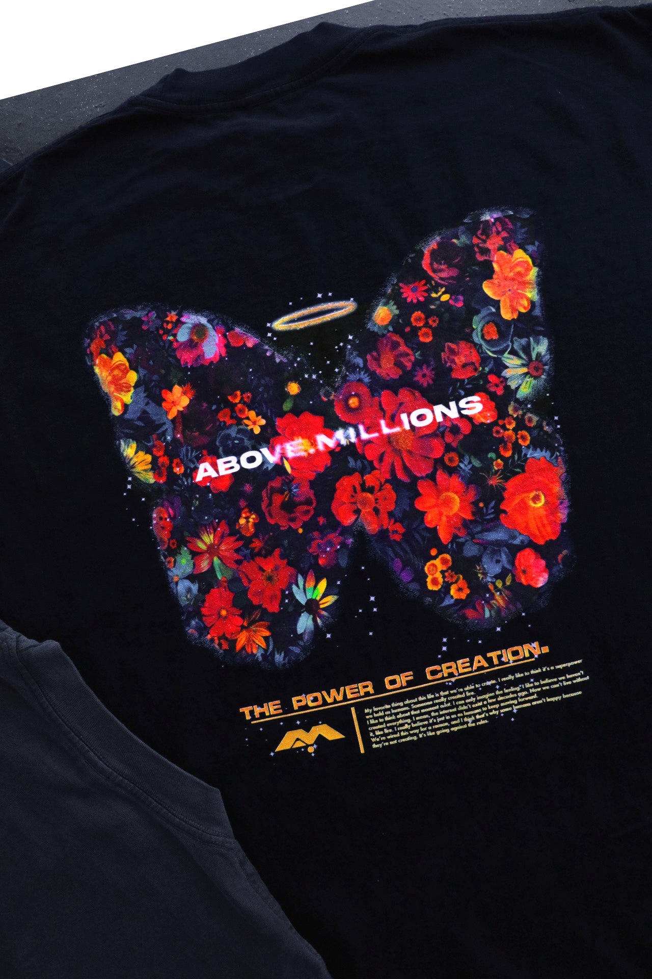 (SPECIAL EDITION) CONCEPCIÓN. 🦋💐✨