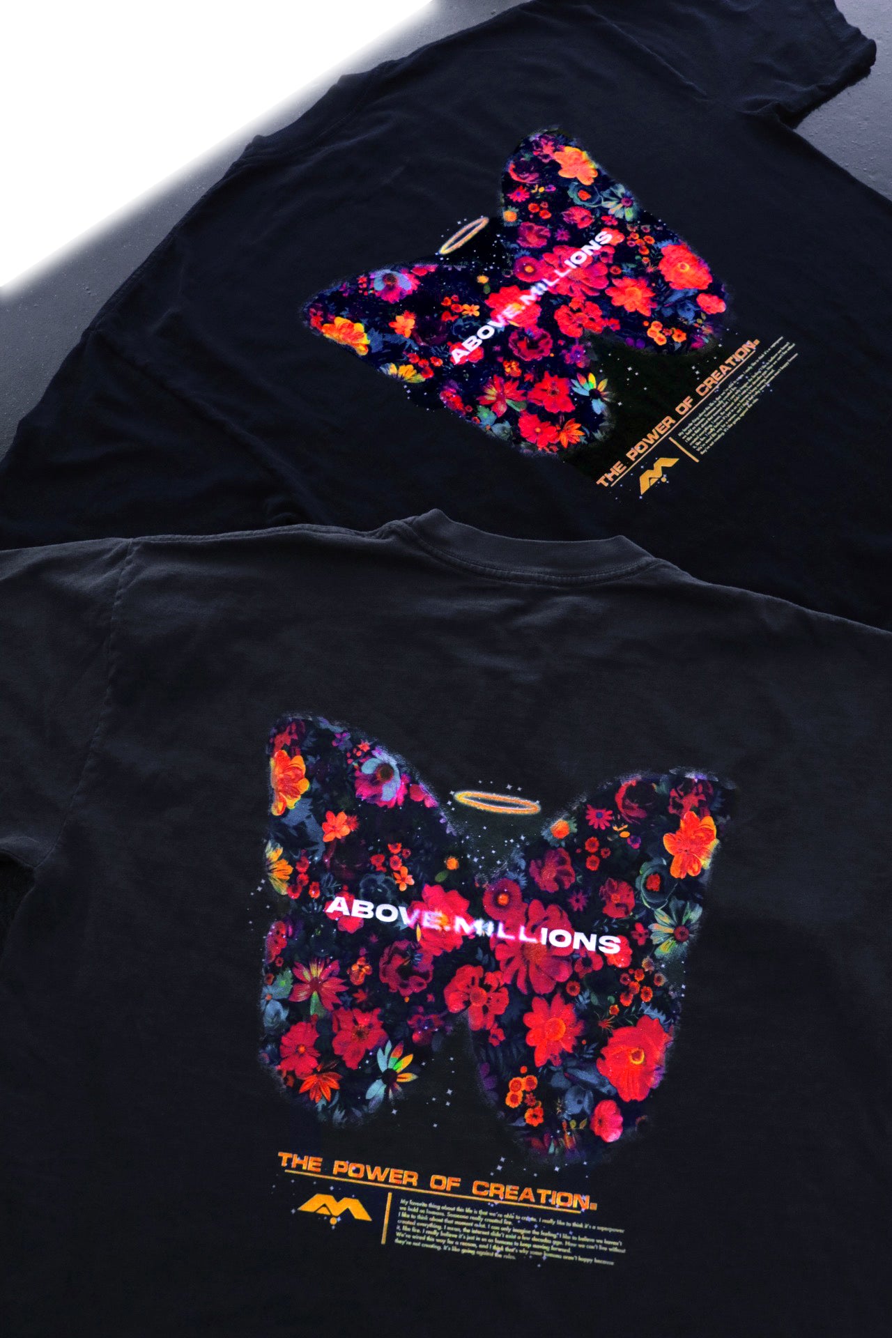 (SPECIAL EDITION) CONCEPCIÓN. 🦋💐✨