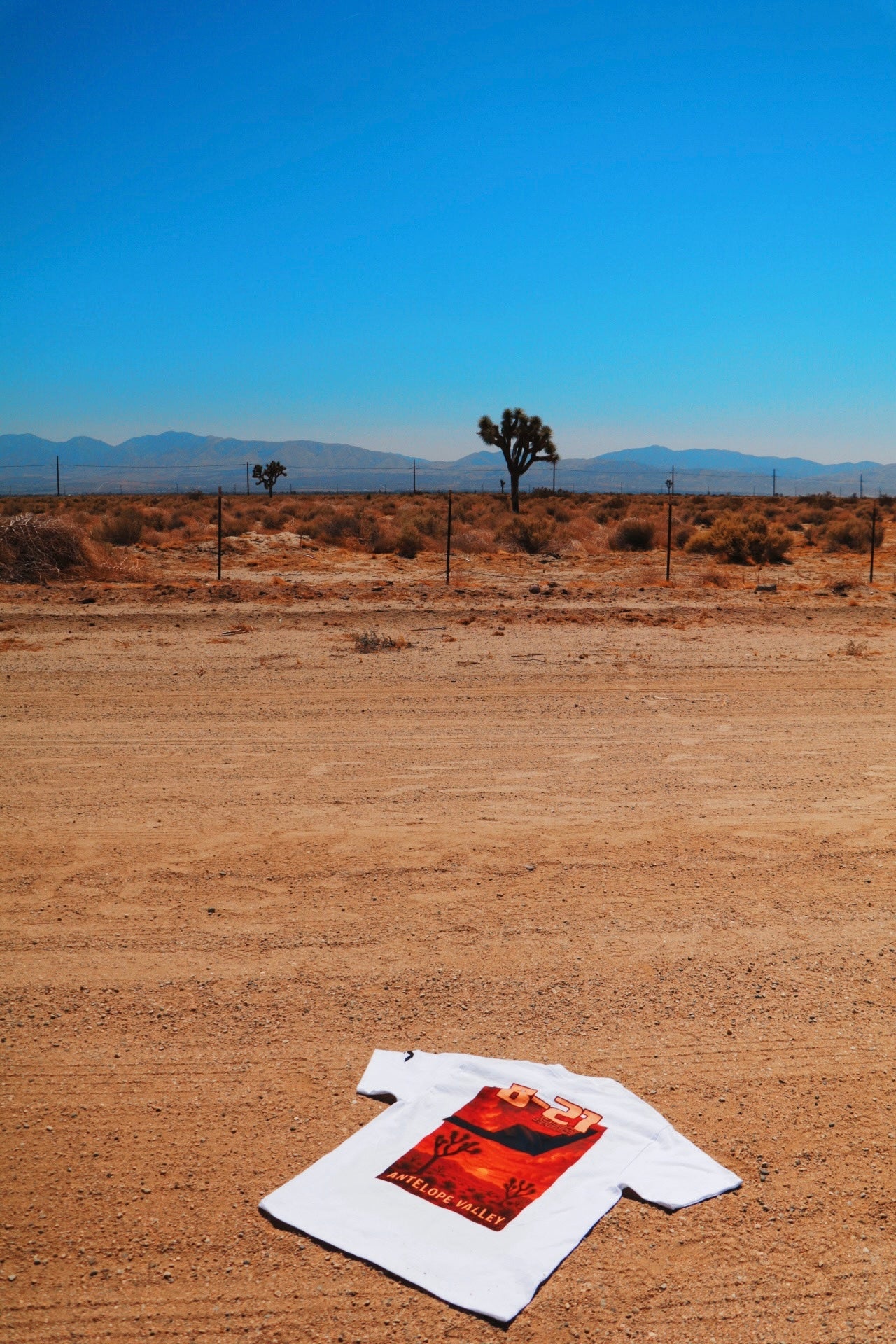 B-21 HEAVYWEIGHT T-SHIRT