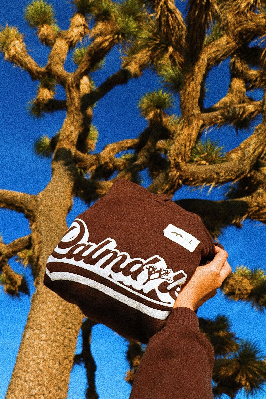 Palmdale, CA📍 #MyHometown