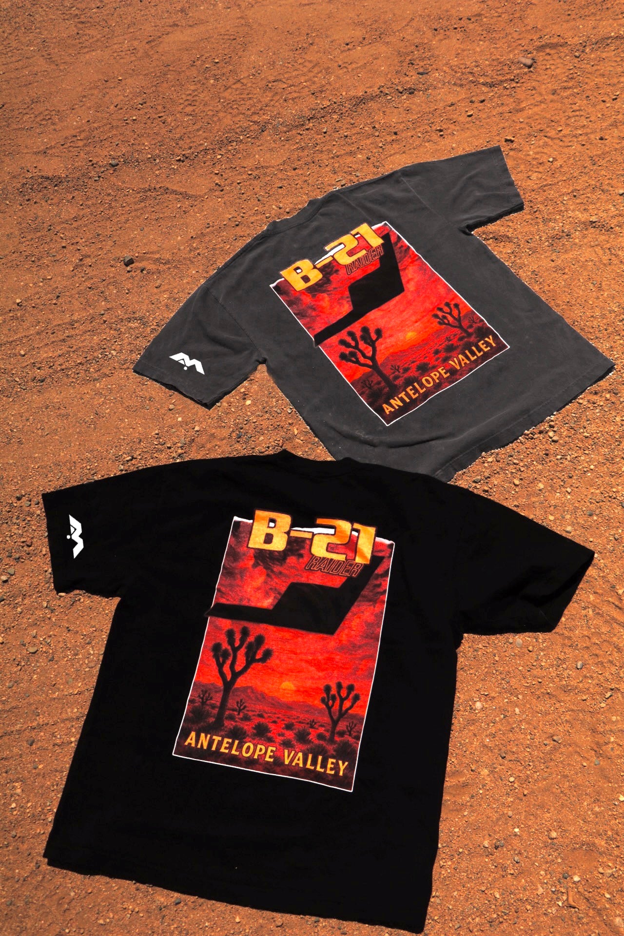 B-21 HEAVYWEIGHT T-SHIRT