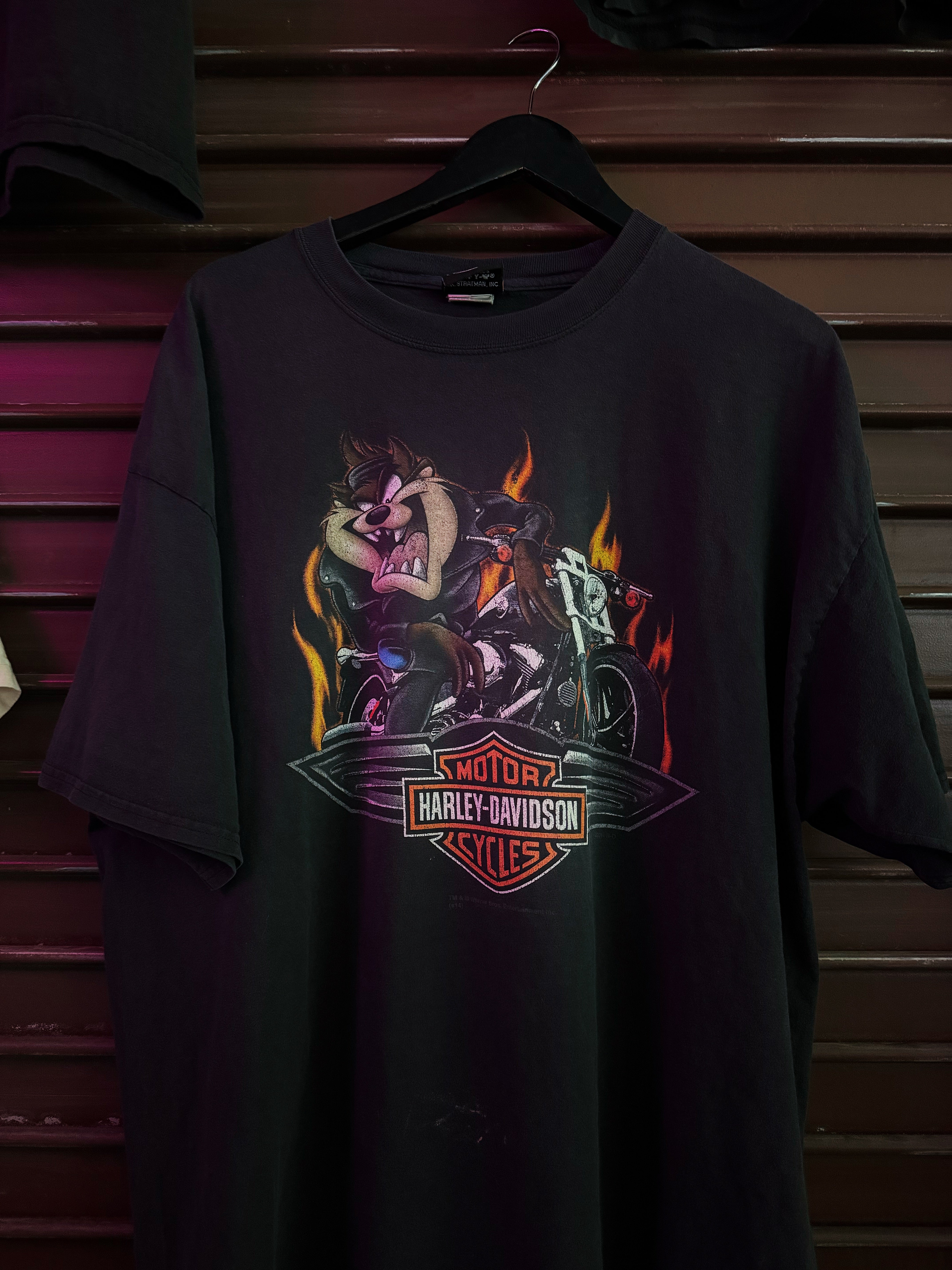 HARELY DAVIDSON TAZZ