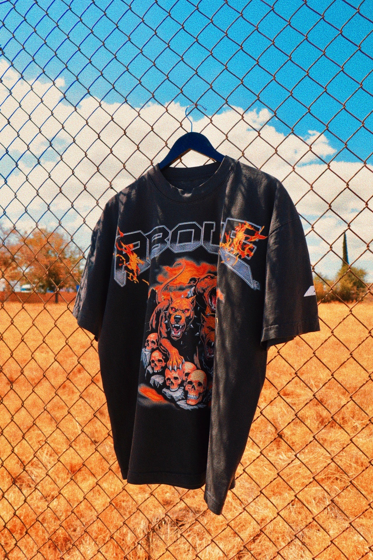 EVERY DOG HAS ITS DAY.