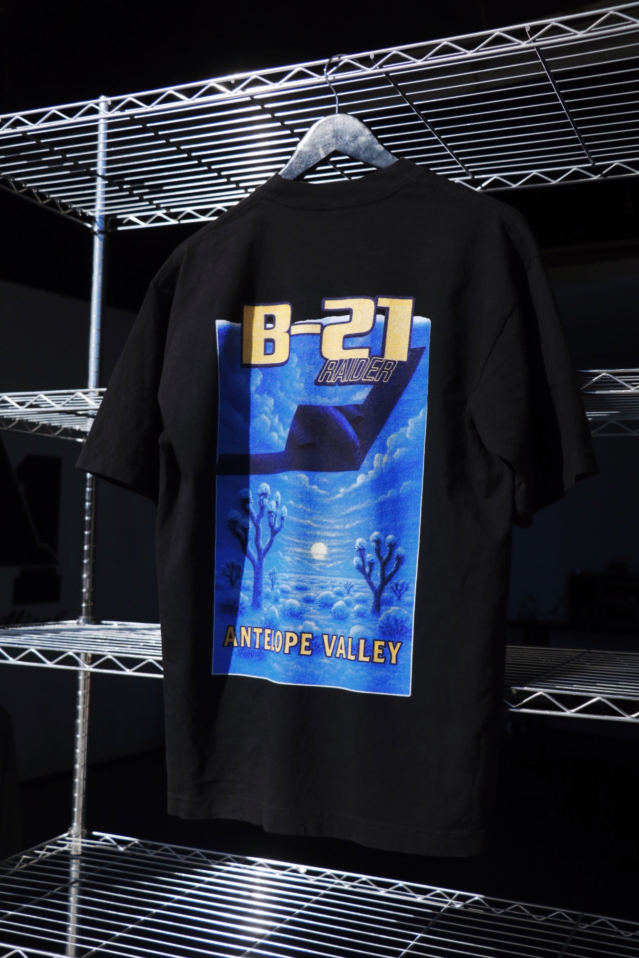 B-21 WINTER EDITION.❄️✨