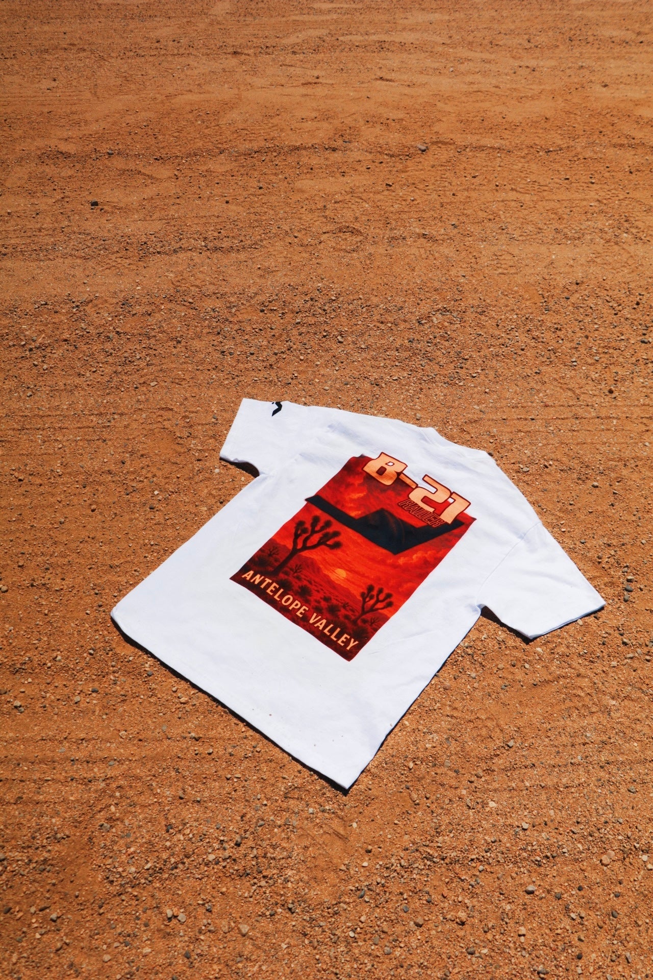 B-21 HEAVYWEIGHT T-SHIRT