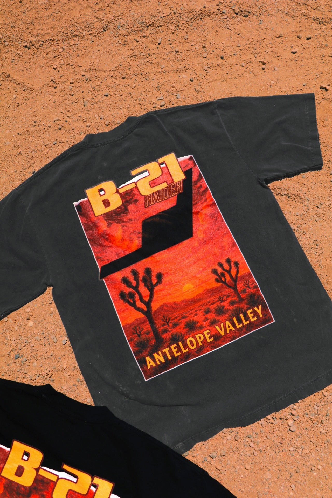 B-21 HEAVYWEIGHT T-SHIRT