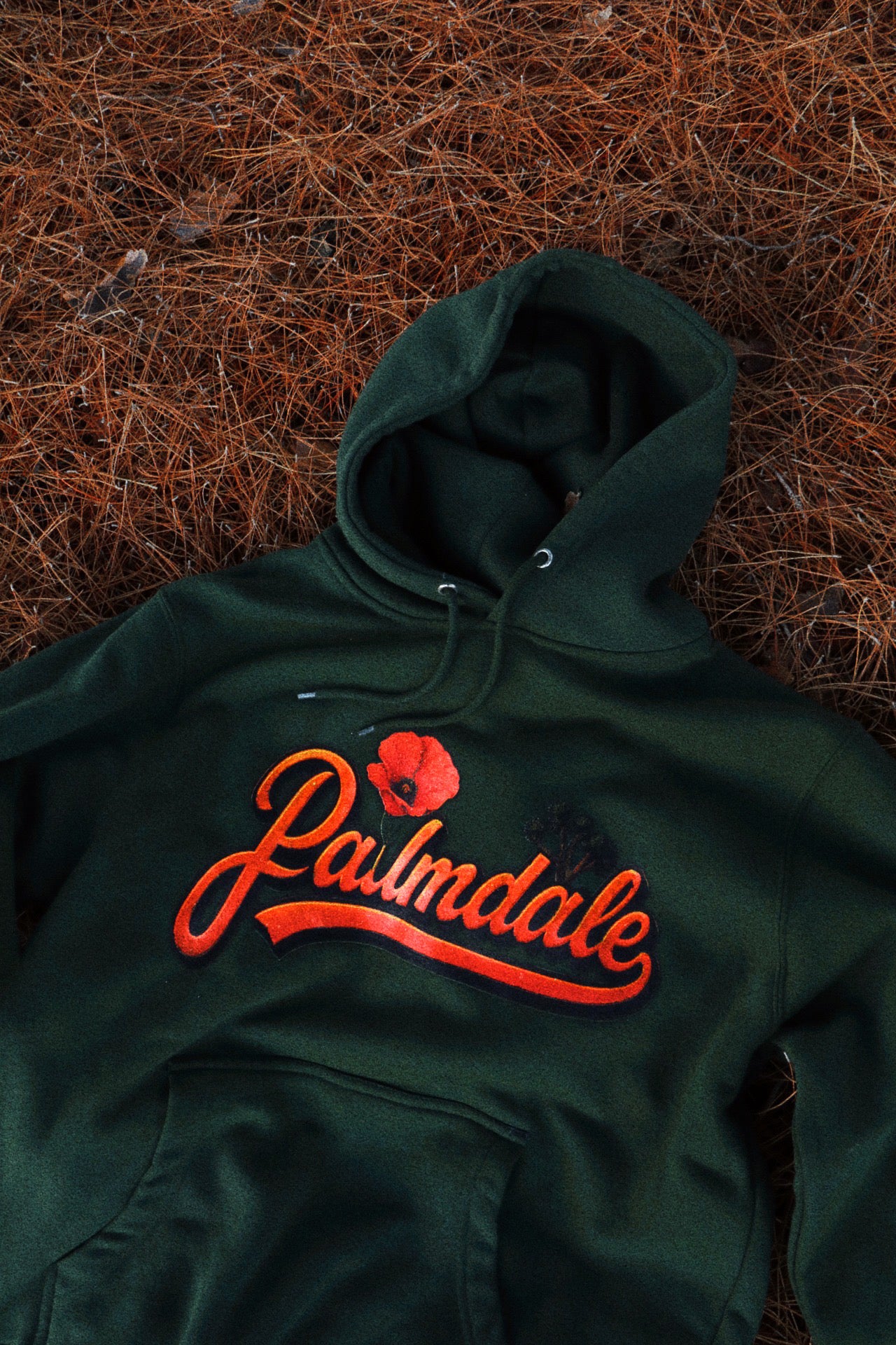 PALMDALE, COME BACK TO ME 🧡🎶✨ HOODIE
