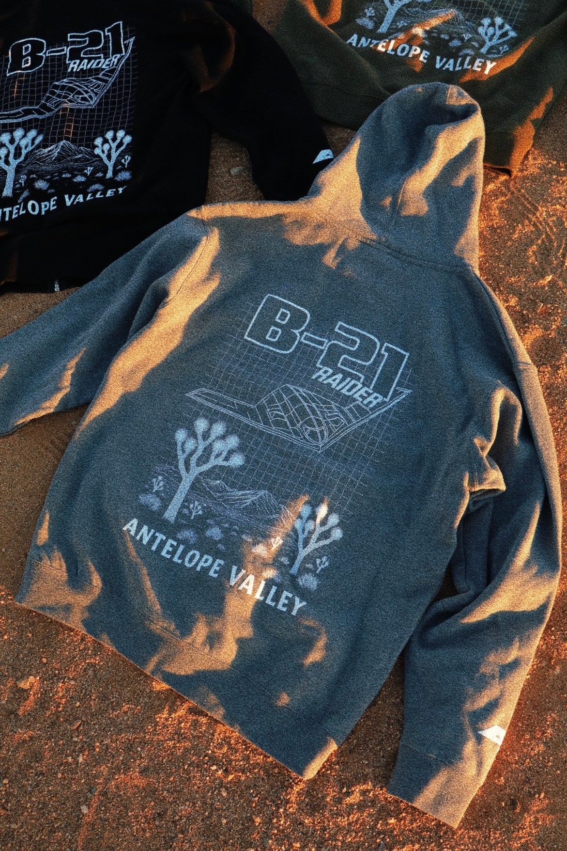 THE BLUEPRINT. (B-21)