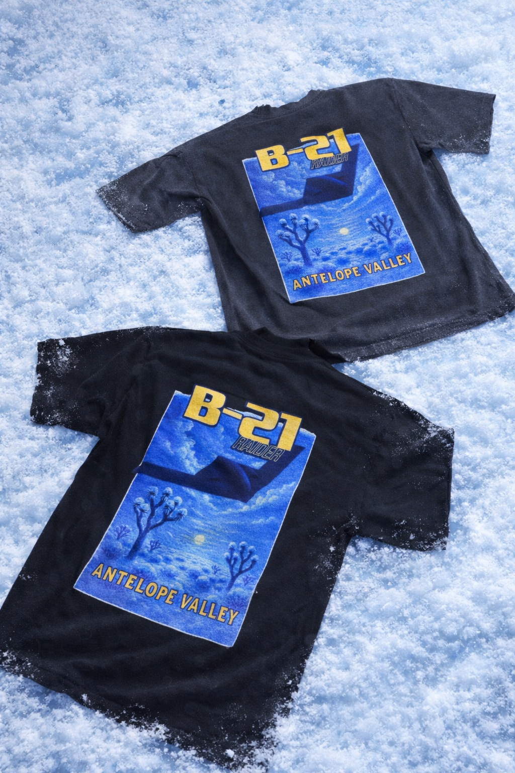 B-21 WINTER EDITION.❄️✨