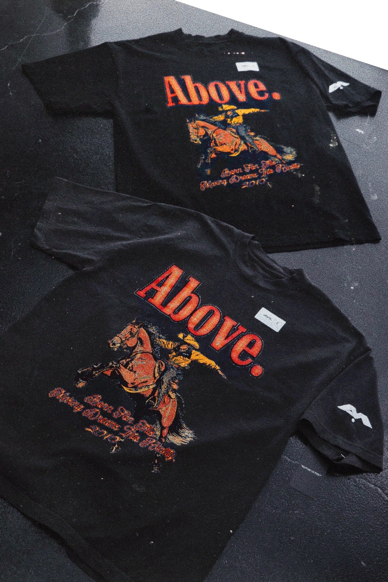 🚨 GONE SOON- BORN FOR THIS. 🏇 PART.II HEAVYWEIGHT T-SHIRTS