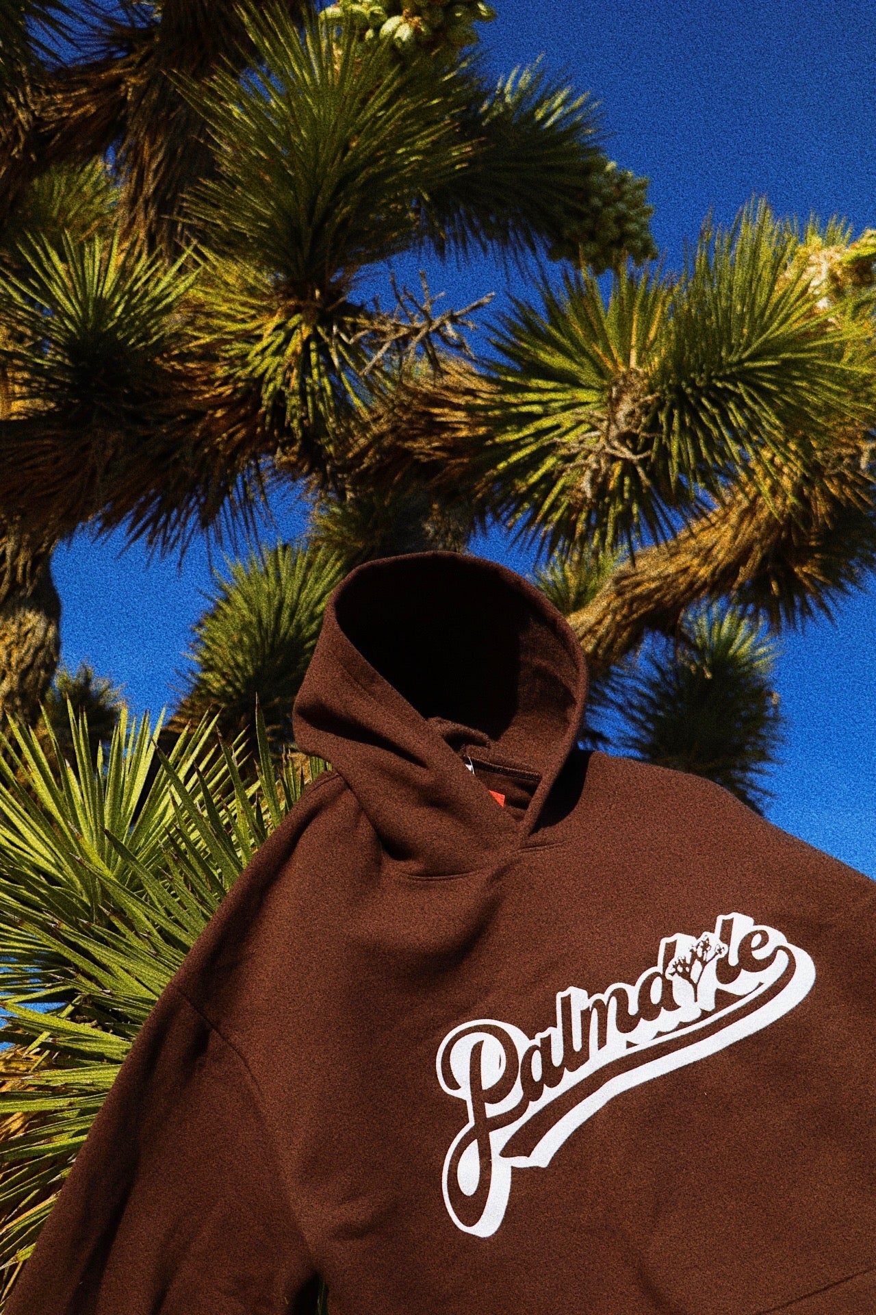 Palmdale, CA📍 #MyHometown