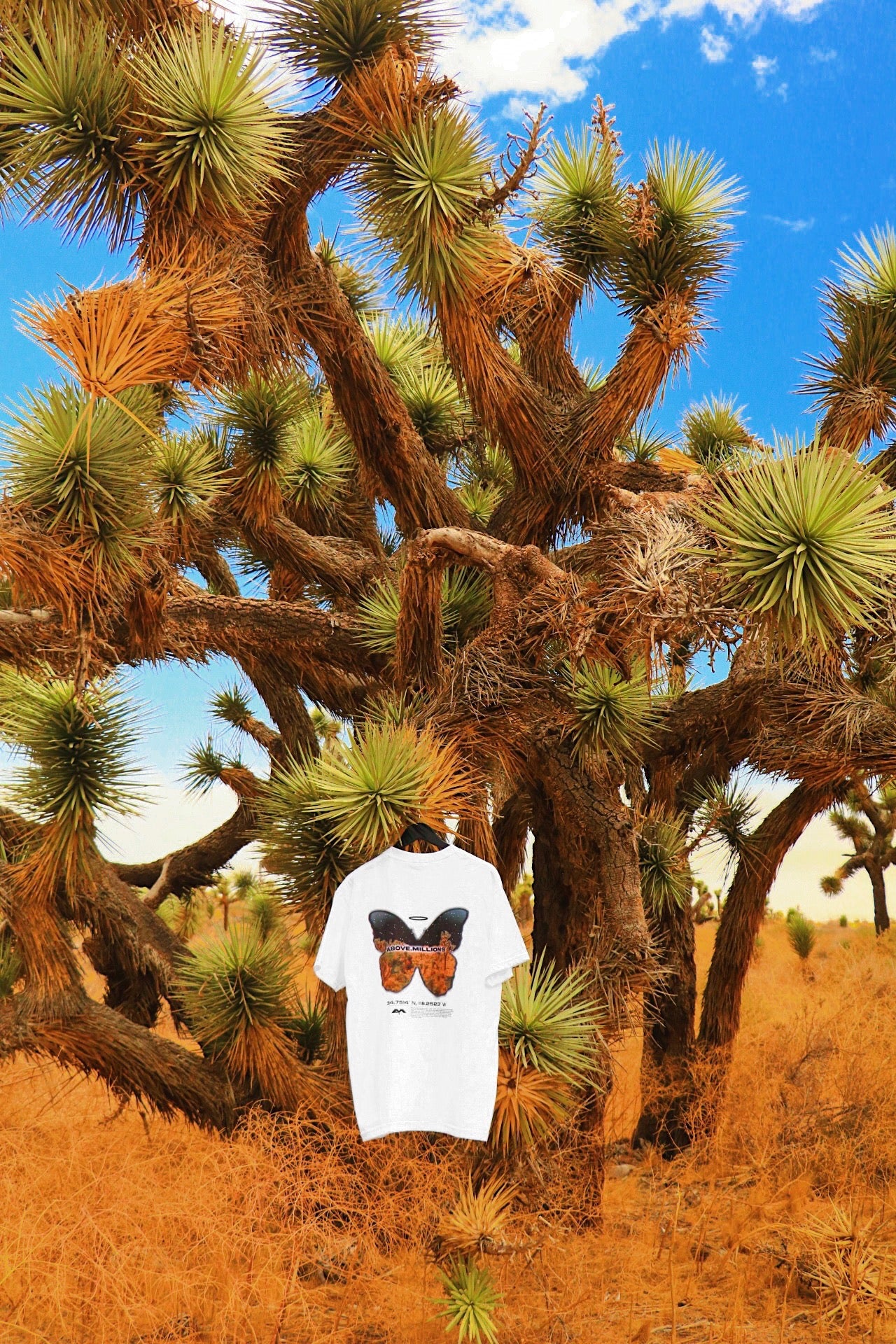 THIS IS WHERE I DREAM. 🌎🦋✨