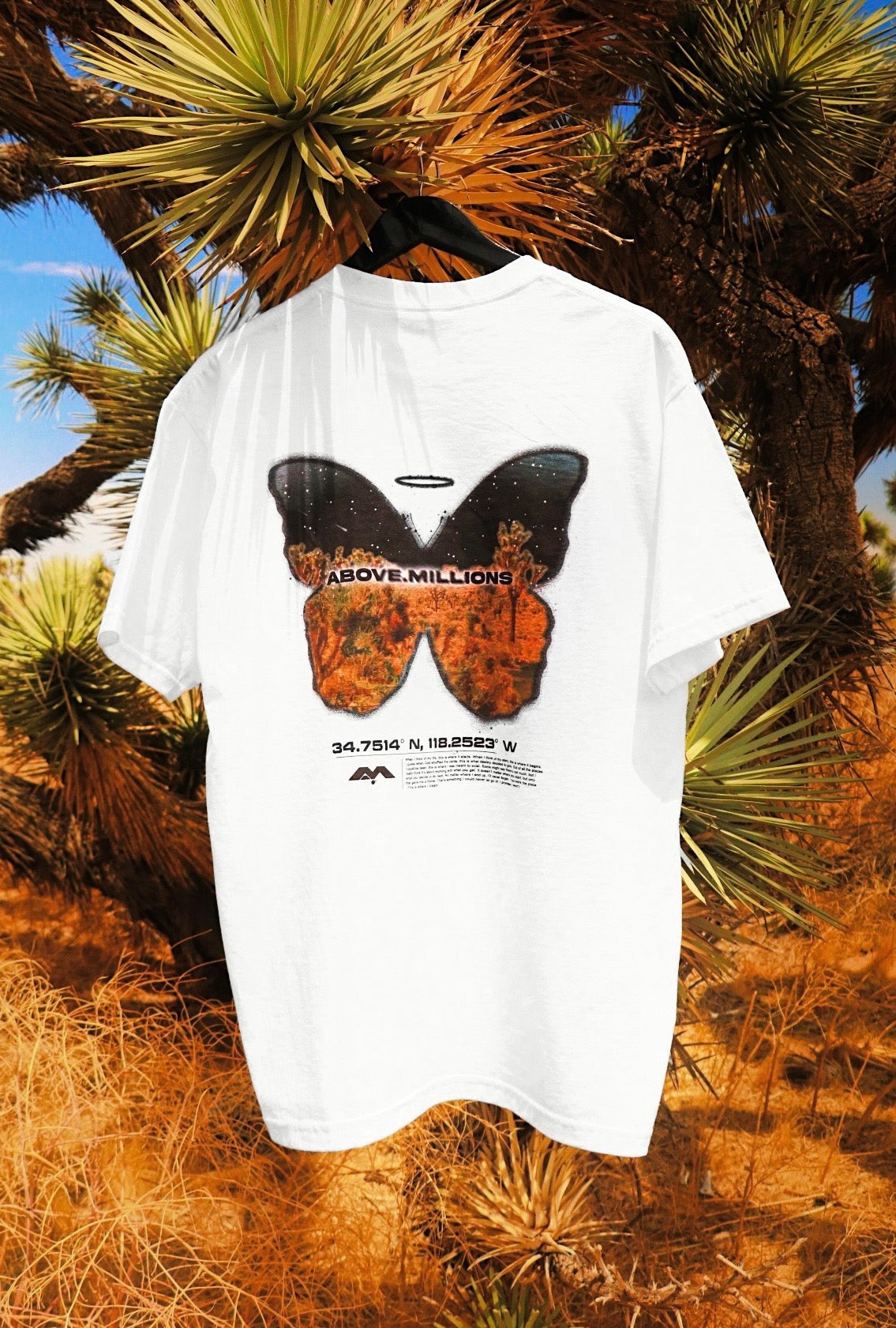 THIS IS WHERE I DREAM. 🌎🦋✨