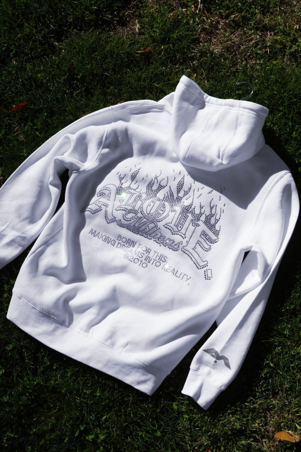 BORN FOR THIS. 🔥✨ (SPECIAL EDITION) MIDWEIGHT HOODIE