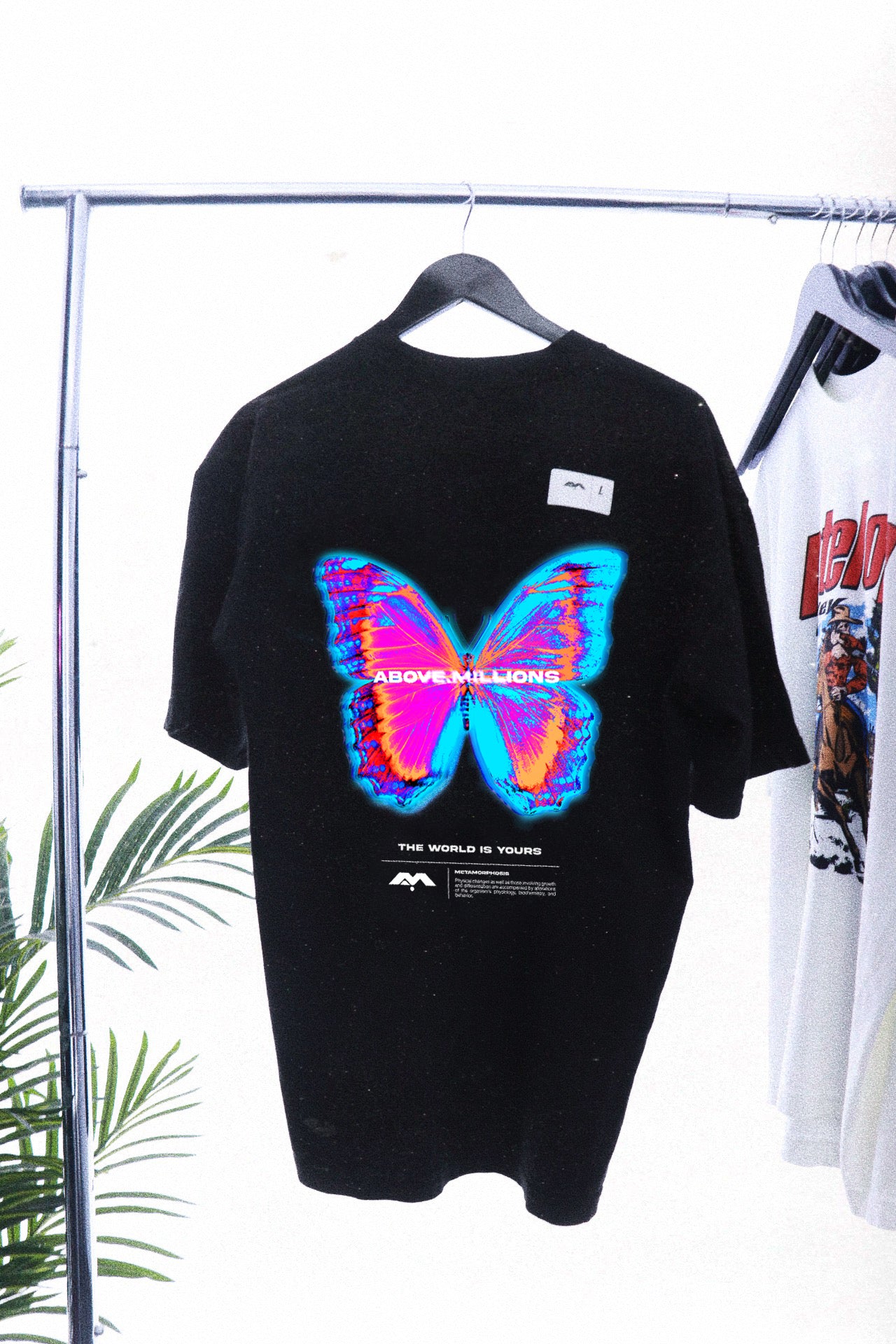 METAMORPHOSIS 🦋✨