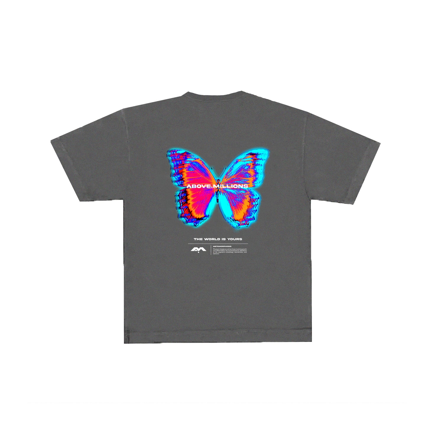 METAMORPHOSIS 🦋✨