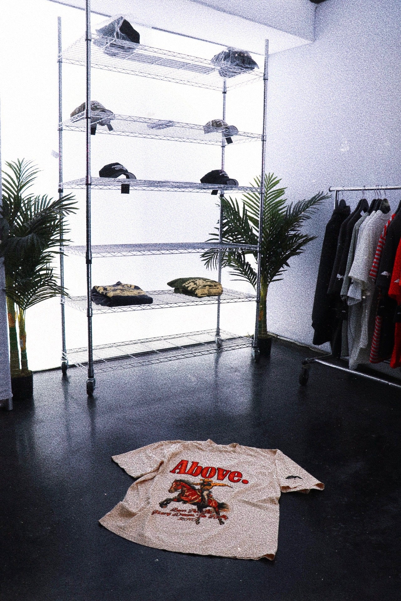 🚨 GONE SOON- BORN FOR THIS. 🏇 PART.II HEAVYWEIGHT T-SHIRTS