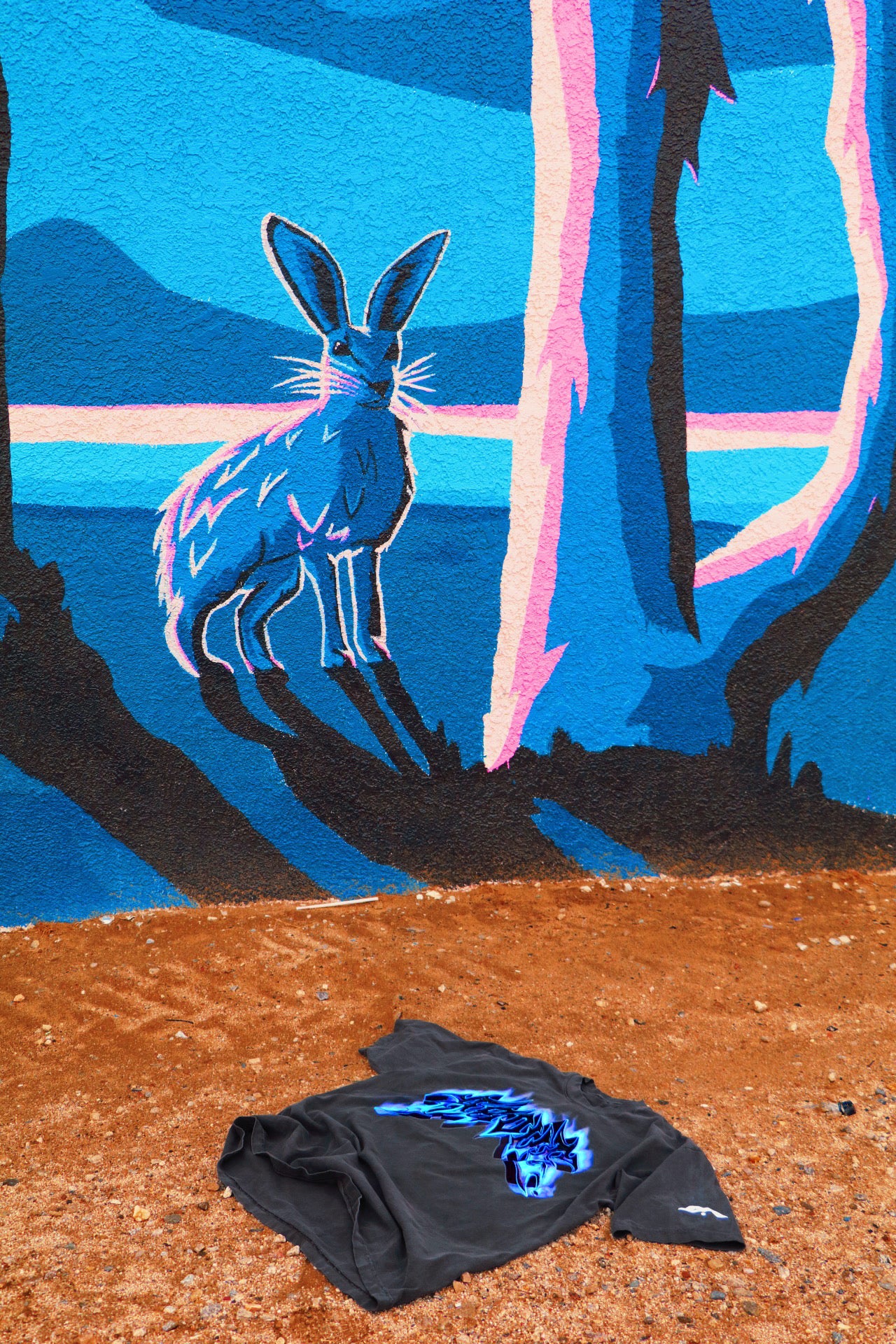 🚨 1 LEFT- AURORA.🌌✨ HEAVYWEIGHT T-SHIRT