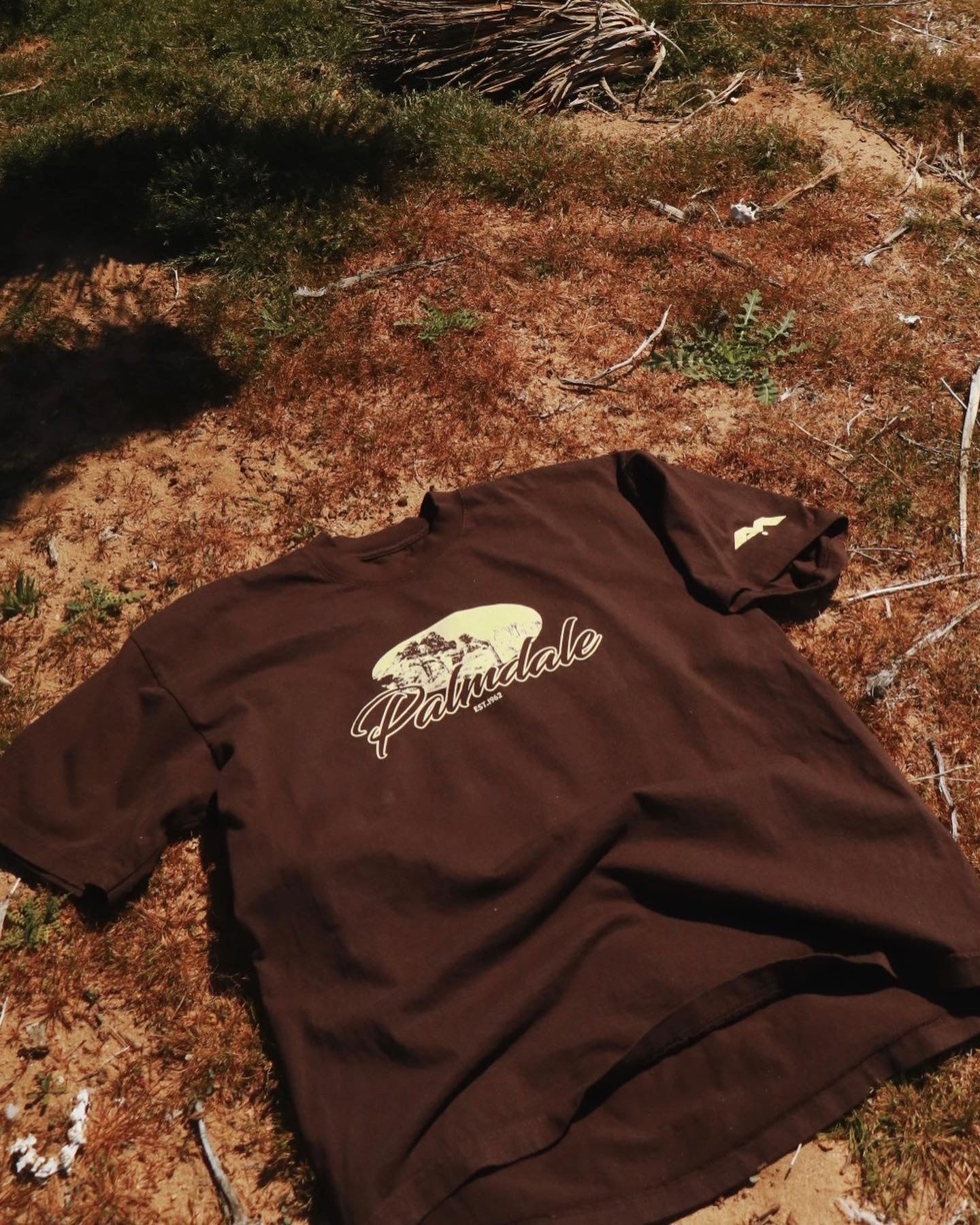 🚨2 LEFT-  PALMDALE HEAVYWEIGHT T-SHIRT