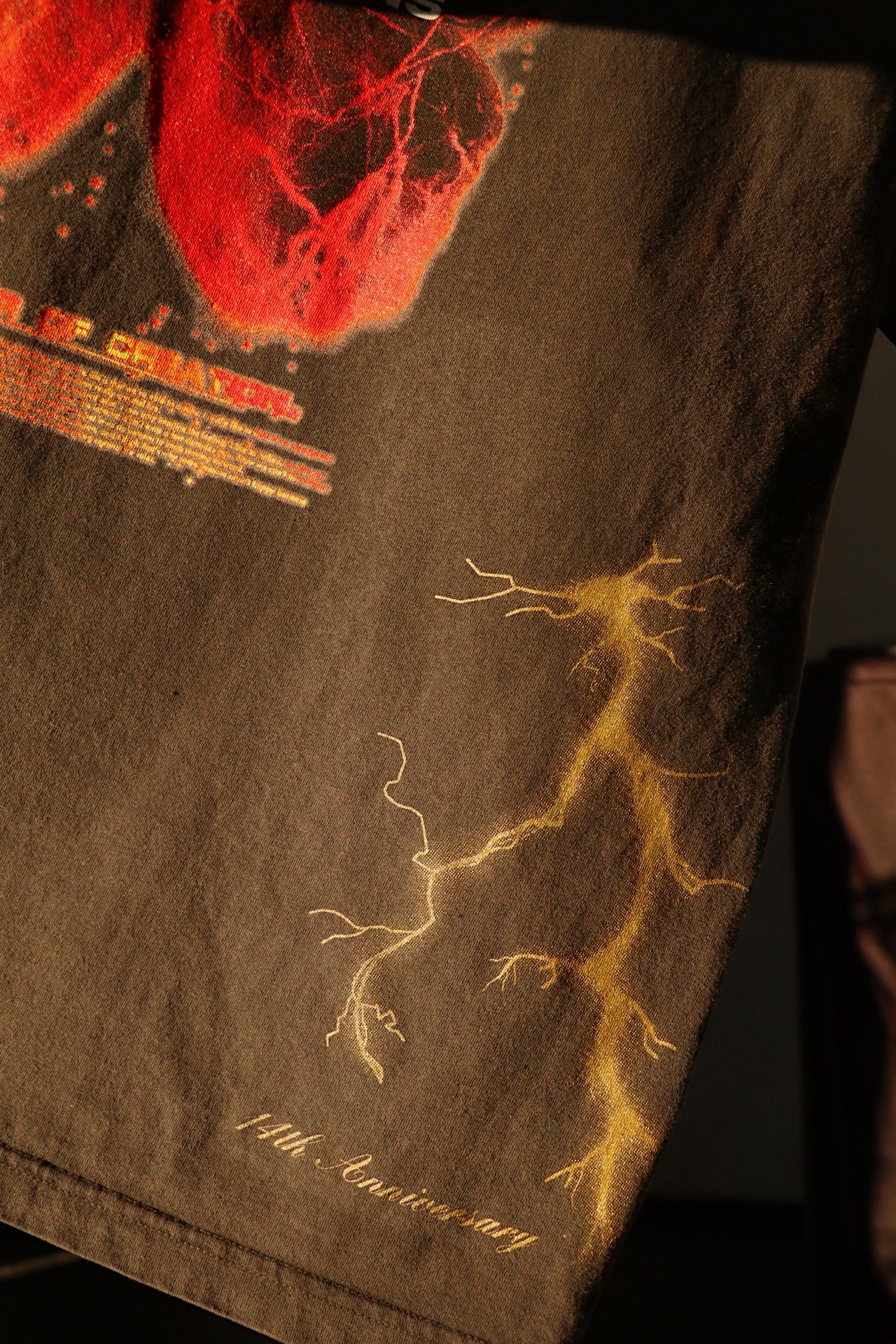 🚨 GONE SOON- RISE FROM THE ASHES🐦‍🔥⚡️✨