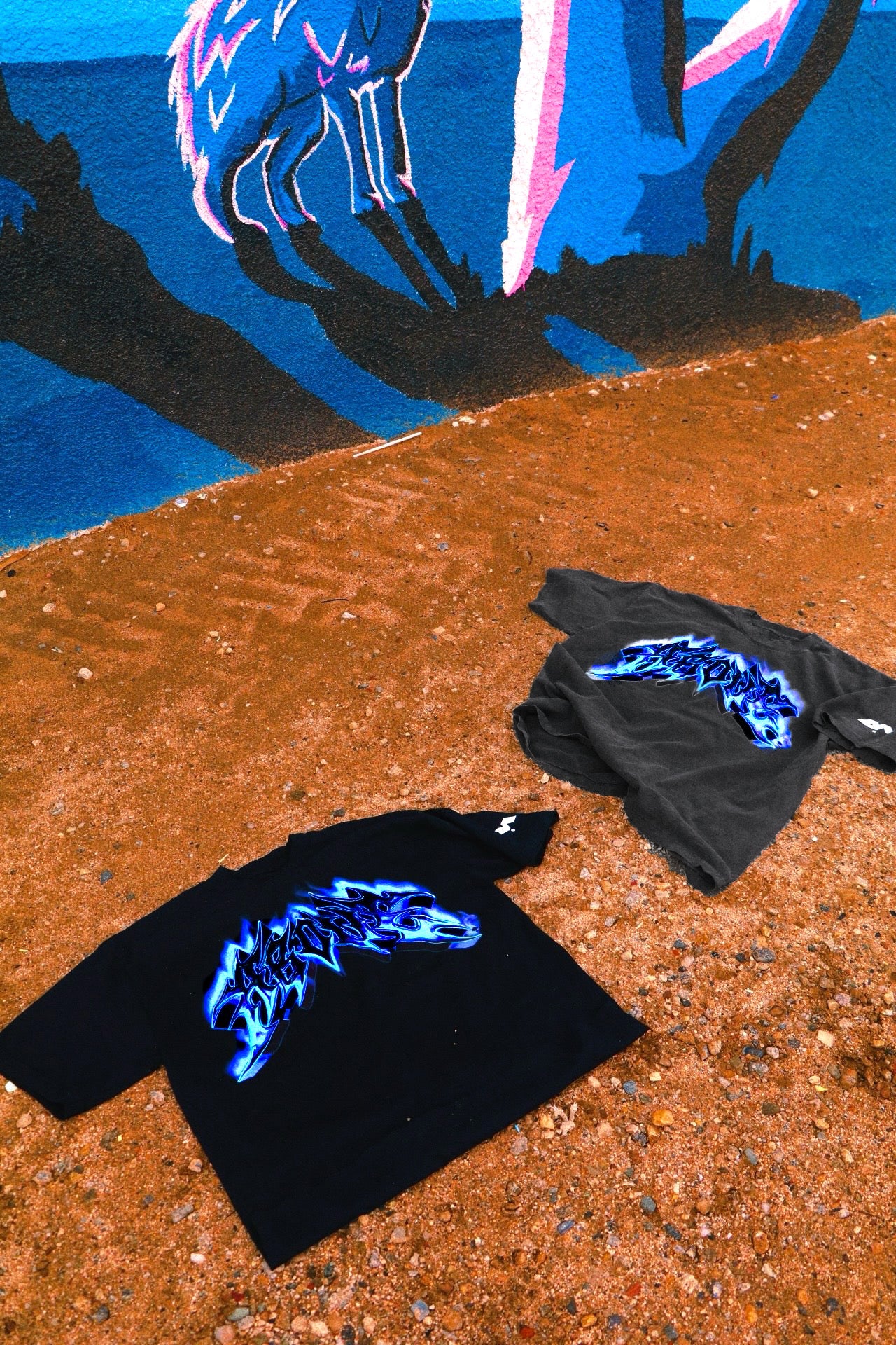 🚨 1 LEFT- AURORA.🌌✨ HEAVYWEIGHT T-SHIRT