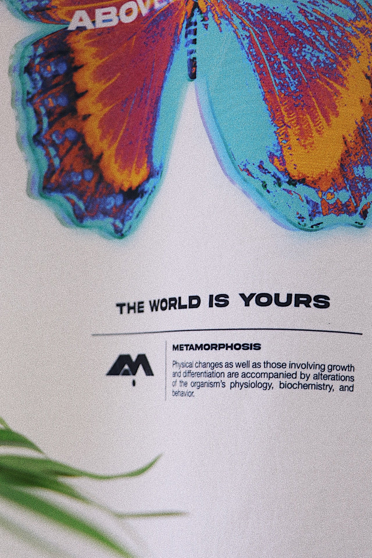 META OFF-WHITE BUTTERFLY VINTAGE HEAVYWEIGHT T-SHIRT