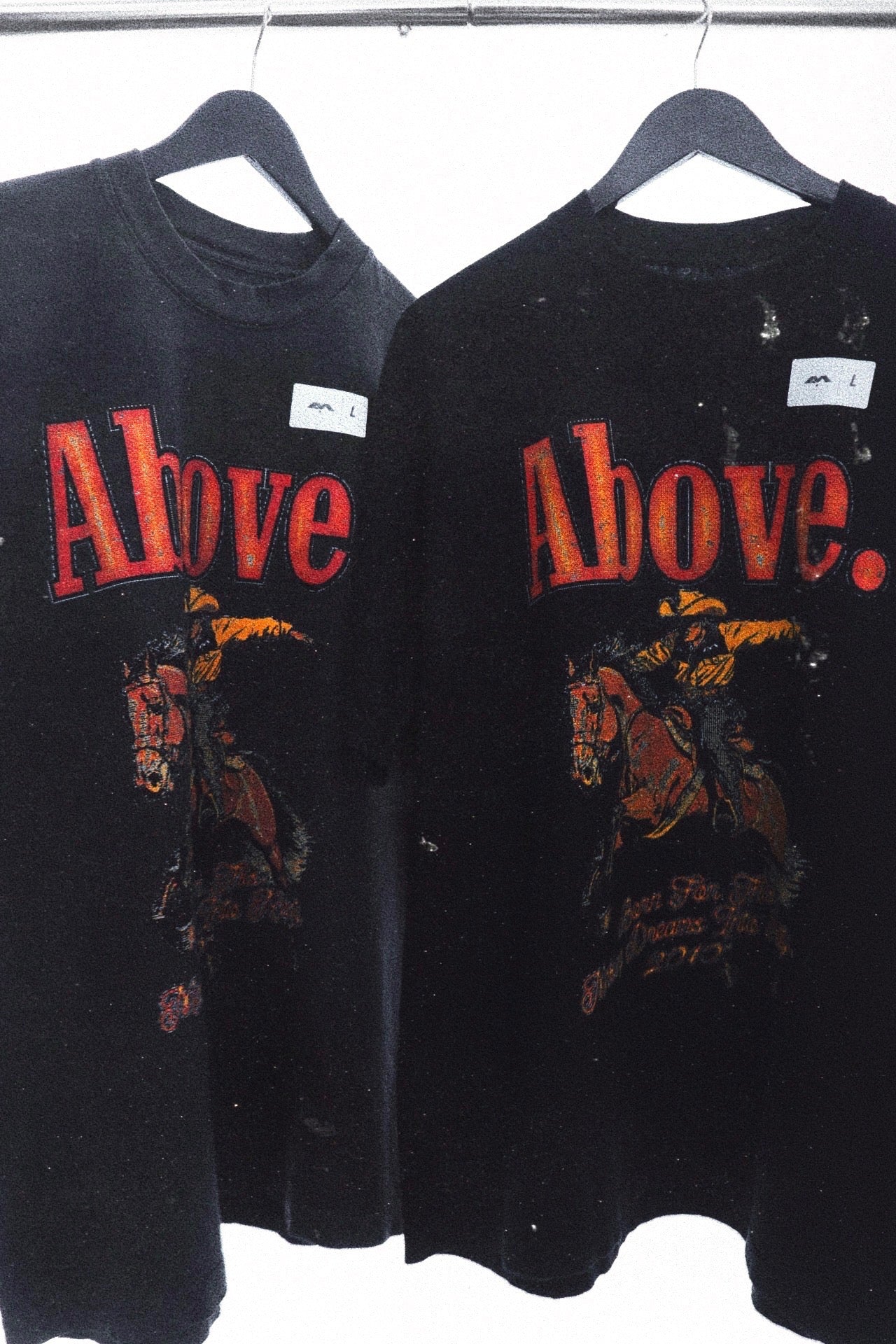 🚨 GONE SOON- BORN FOR THIS. 🏇 PART.II HEAVYWEIGHT T-SHIRTS