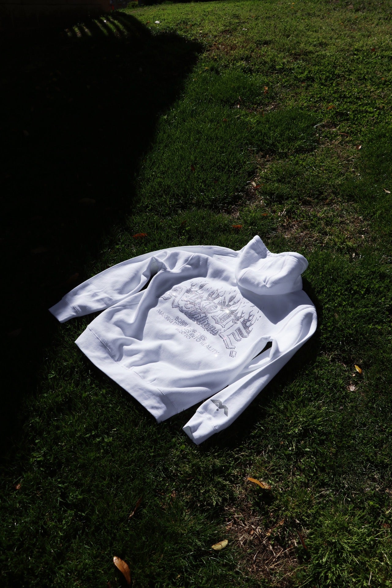 BORN FOR THIS. 🔥✨ (SPECIAL EDITION) MIDWEIGHT HOODIE