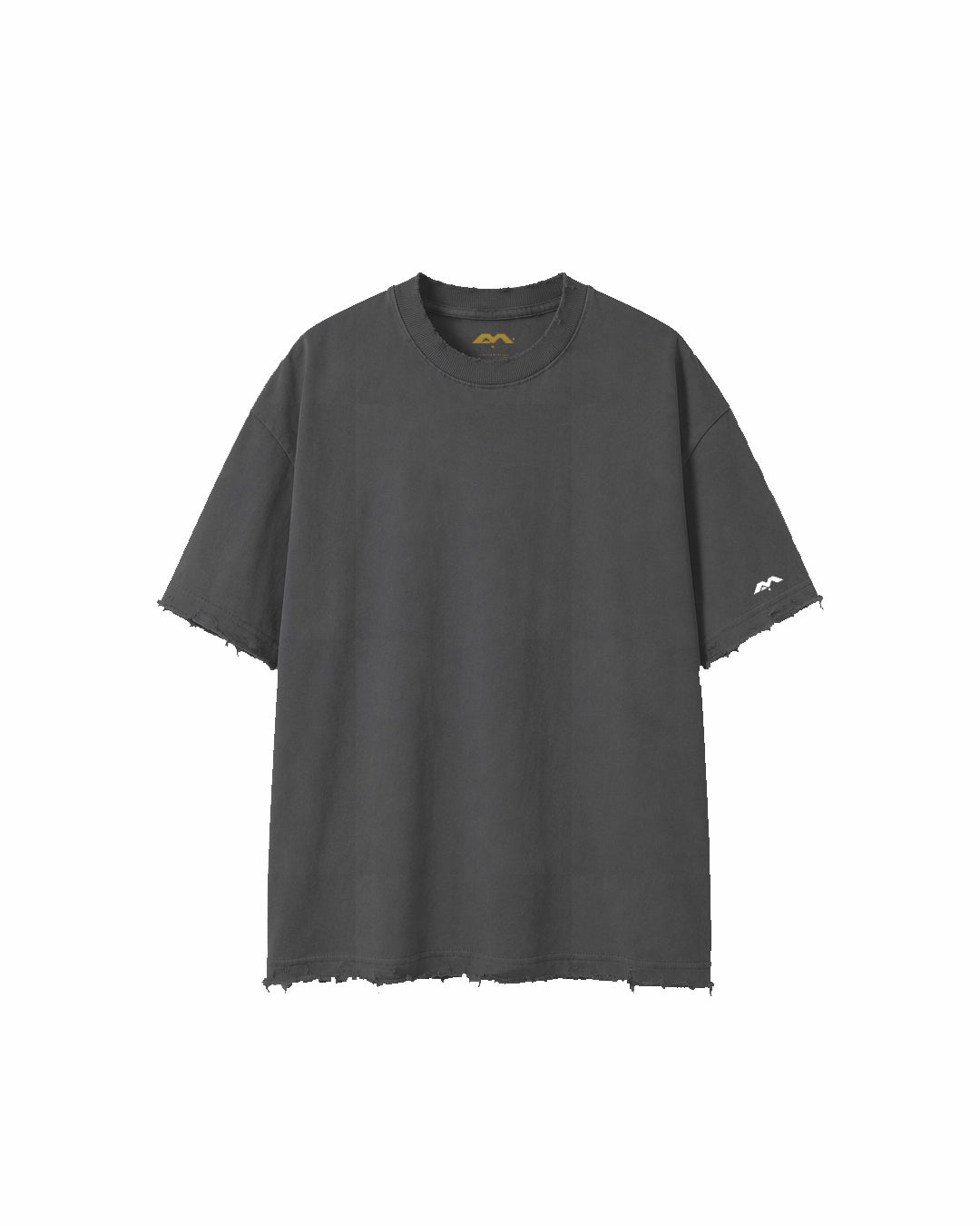 DISTRESSED + SMALL LOGO ON SLEEVE ONLY HEAVYWEIGHT T-SHIRT