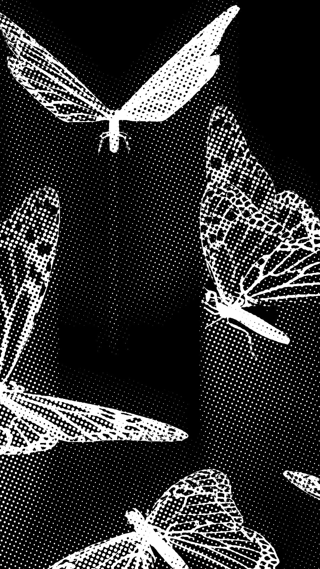 🦋THE HUMAN EXPERINCE.✨