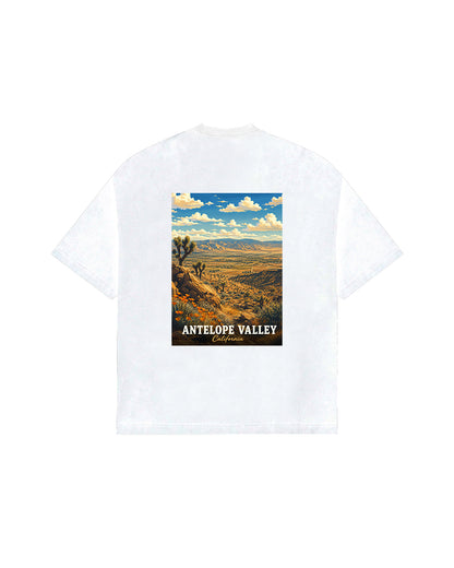 THE DESERT VIEW.