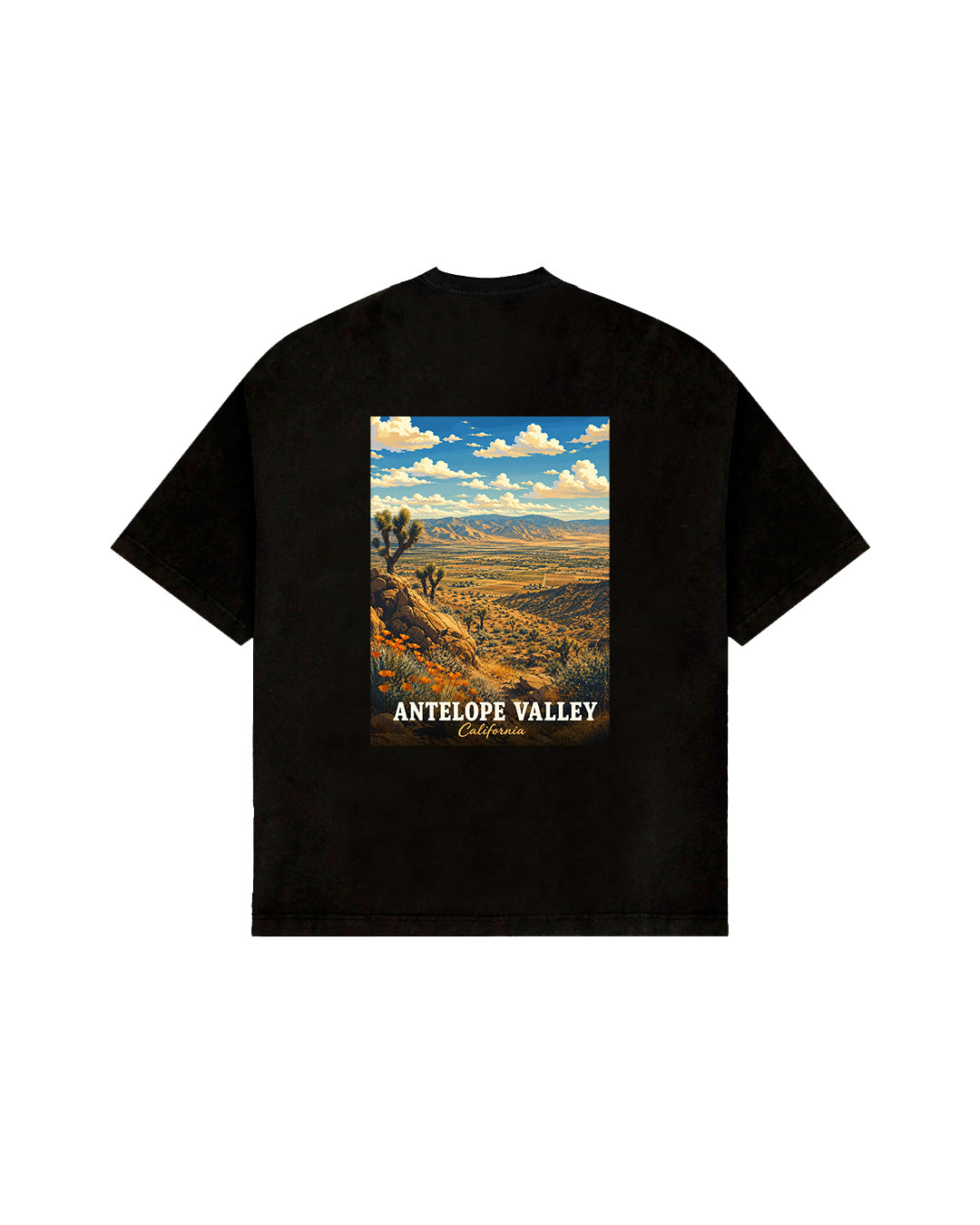 THE DESERT VIEW.