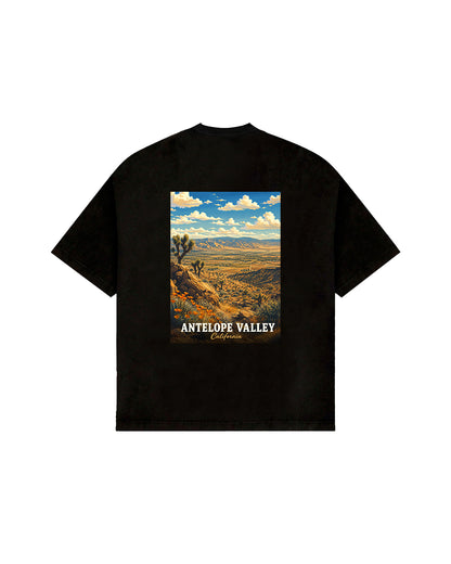 THE DESERT VIEW.