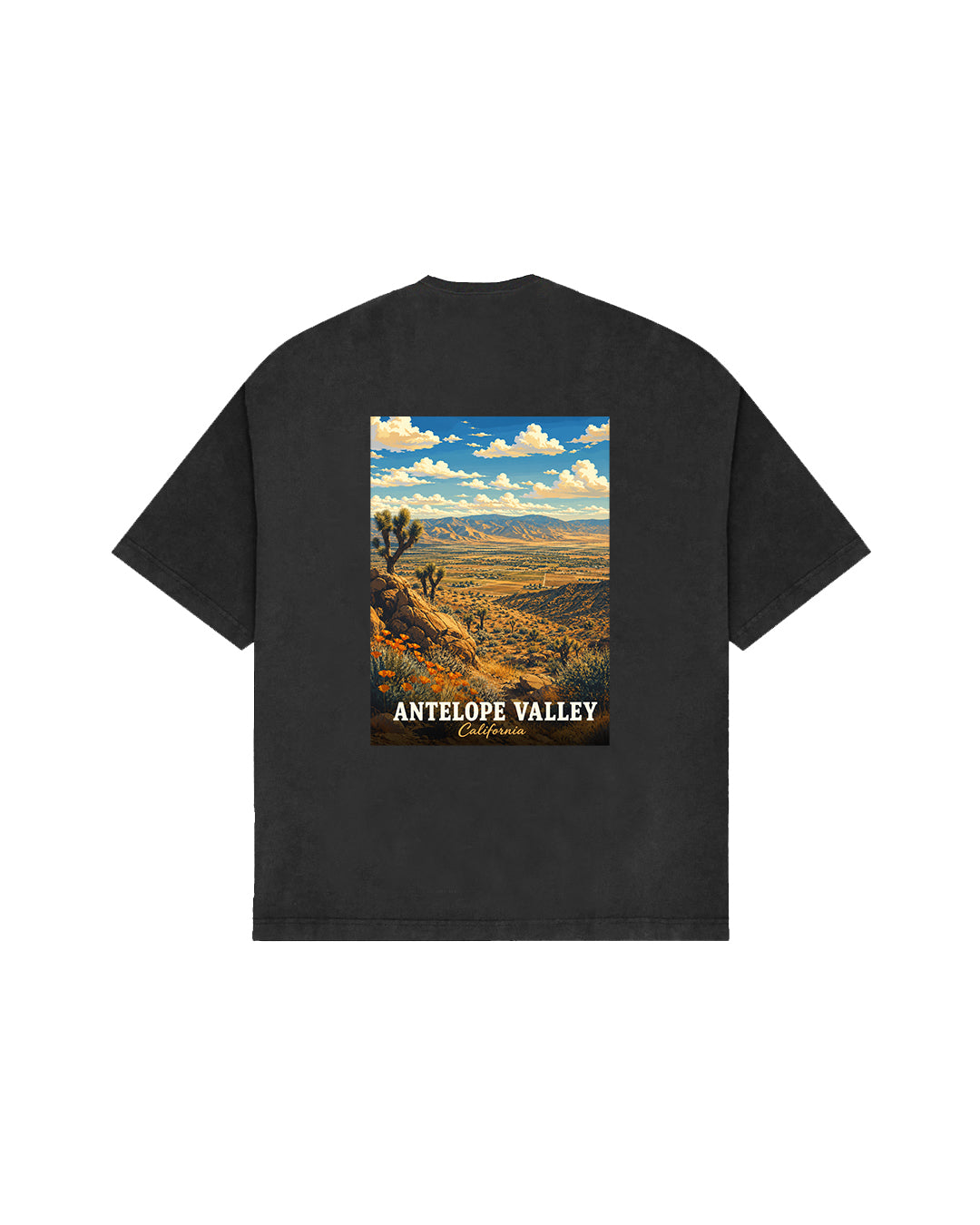 THE DESERT VIEW.