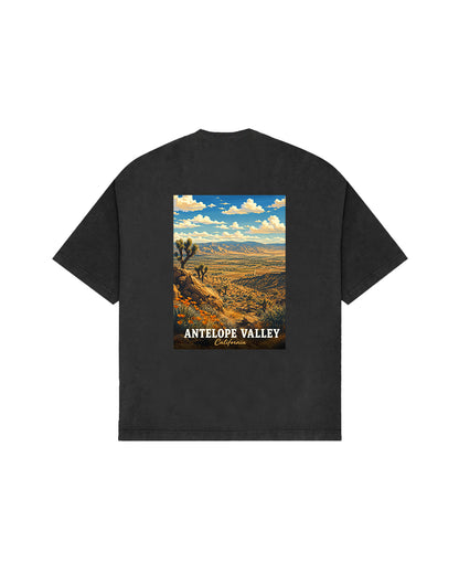 THE DESERT VIEW.